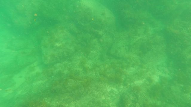 SAN JOSE DEL CABO BCS MEXICO-2023: Underwater Rocky Seabed with Green-Tinted Water