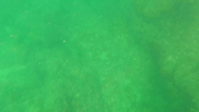 SAN JOSE DEL CABO BCS MEXICO-2023: Underwater View of Ocean Floor with Rocky Formations