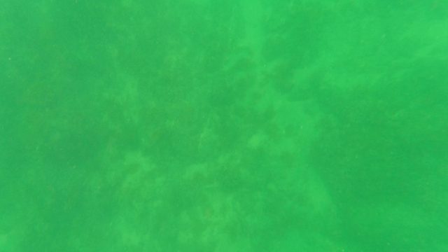 SAN JOSE DEL CABO BCS MEXICO-2023: Underwater View of Sandy Seabed with Gentle Currents