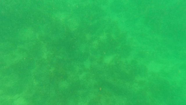 SAN JOSE DEL CABO BCS MEXICO-2023: Underwater Swim with Seabed View and Surface Emergence