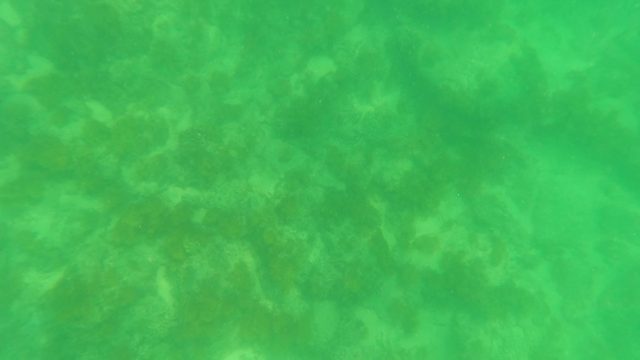 SAN JOSE DEL CABO BCS MEXICO-2023: Underwater Seabed with Dappled Light Patterns