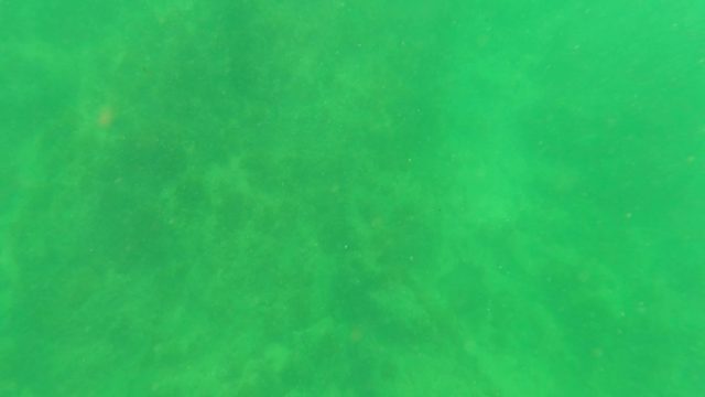 SAN JOSE DEL CABO BCS MEXICO-2023: Underwater Seabed with Green Water and Gentle Currents