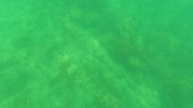 SAN JOSE DEL CABO BCS MEXICO-2023: Underwater Seabed with Rocky Formations and Green Water