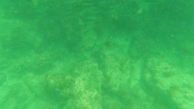 SAN JOSE DEL CABO BCS MEXICO-2023: Diver's Hands Swimming Among Fish in Clear Water