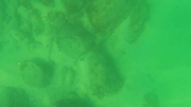 SAN JOSE DEL CABO BCS MEXICO-2023: Underwater View of Rocky Seabed and Clear Green Water