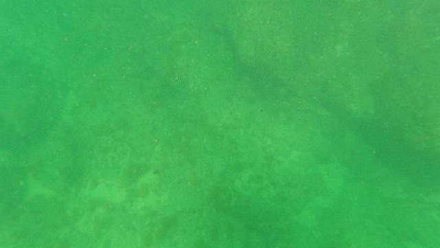 SAN JOSE DEL CABO BCS MEXICO-2023: Underwater View of Rocky and Sandy Seabed