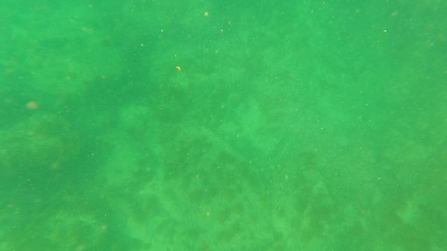 SAN JOSE DEL CABO BCS MEXICO-2023: Shallow Ocean Floor with Algae and Floating Particles