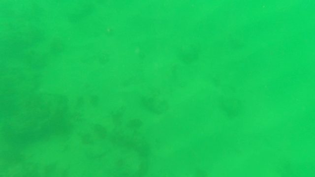 SAN JOSE DEL CABO BCS MEXICO-2023: Underwater to Surface Transition with Swimming