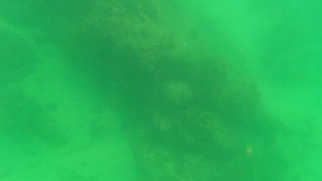 SAN JOSE DEL CABO BCS MEXICO-2023: Underwater Coral Reef and Sandy Seabed