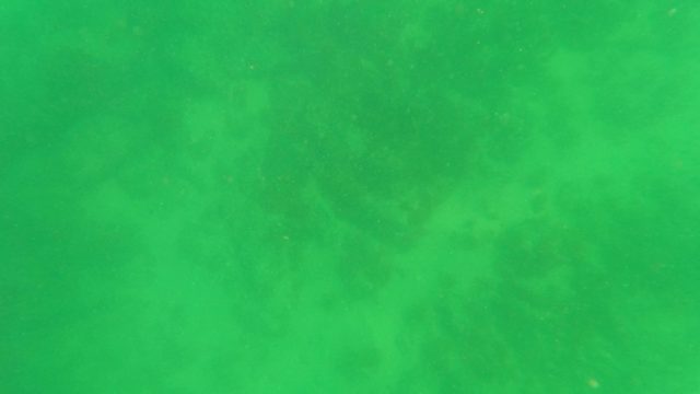 SAN JOSE DEL CABO BCS MEXICO-2023: Underwater Ascent to Sunlit Surface