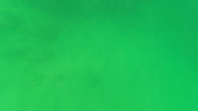 SAN JOSE DEL CABO BCS MEXICO-2023: Underwater to Ocean Surface and Coastal View