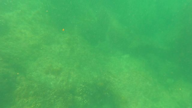 SAN JOSE DEL CABO BCS MEXICO-2023: Underwater Rocky Seabed and Water Surface Motion