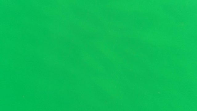 SAN JOSE DEL CABO BCS MEXICO-2023: Green Screen with Moving Dark Object