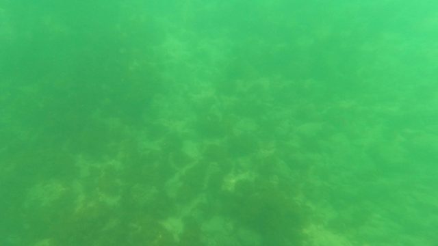 SAN JOSE DEL CABO BCS MEXICO-2023: Underwater to Surface Transition in Clear Water