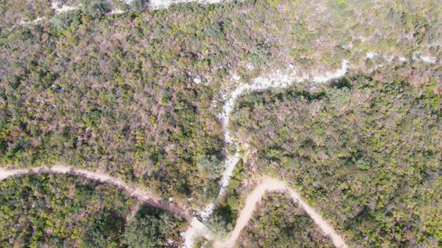 SAN DIONISIO BCS-2023: Vehicle Moving on Winding Forest Road