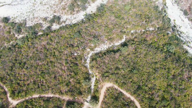 SAN DIONISIO BCS-2023: Winding Dirt Path on Rocky Vegetated Hillside
