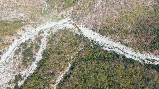 SAN DIONISIO BCS-2023: Winding Path Through Grassy and Forested Terrain