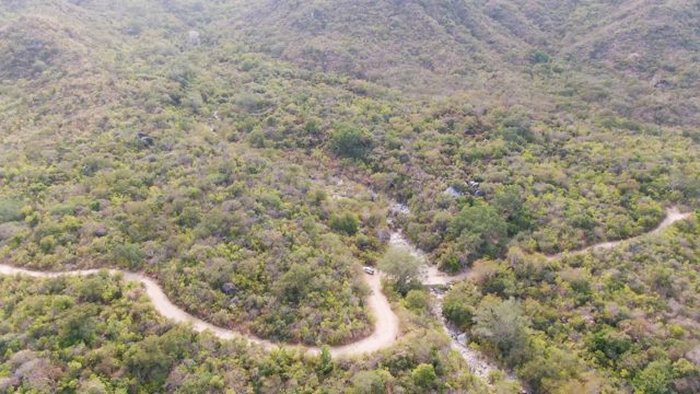 SAN DIONISIO BCS-2023: Winding Mountain Road Through Forested Hills