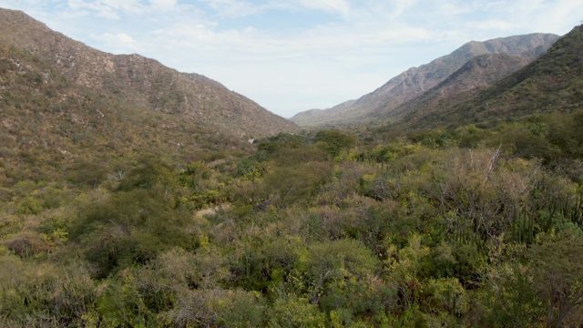 SAN DIONISIO BCS-2023: Descending View of Mountain Valley Vegetation