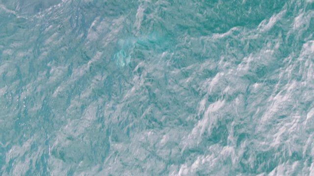 SHIPWRECKS EAST CAPE BCS-2023: Gentle Ocean Waves and White Foam