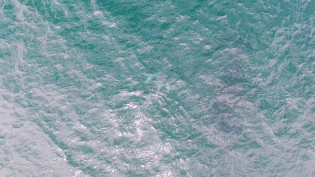 SHIPWRECKS EAST CAPE BCS-2023: Turbulent Ocean Surface with Shifting White Foam