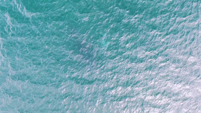 SHIPWRECKS EAST CAPE BCS-2023: Gentle Ocean Waves and White Foam