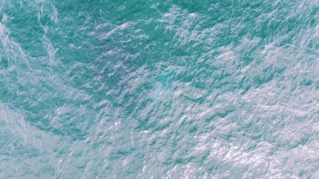 SHIPWRECKS EAST CAPE BCS-2023: Overhead View of Churning Ocean Waves with White Foam