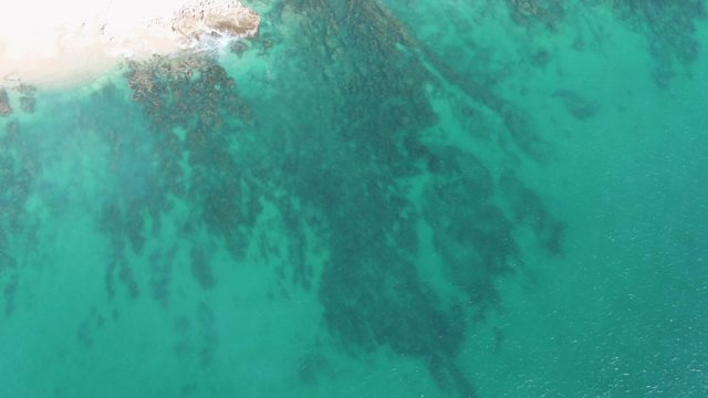 BUZZARDS BEACH EAST CAPE BCS-2023: Sandy Shore and Clear Turquoise Ocean Water