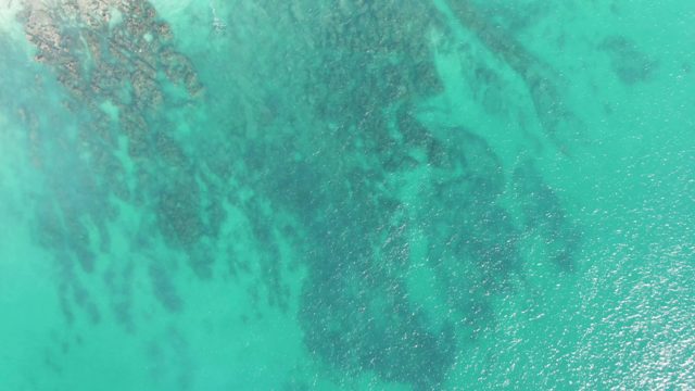 BUZZARDS BEACH EAST CAPE BCS-2023: Clear Turquoise Ocean with Gradual Shoreline Appearance