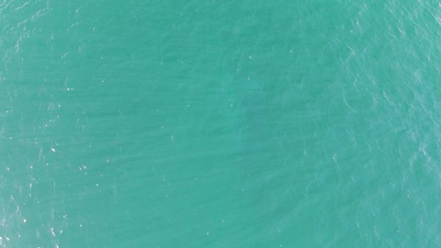 BUZZARDS BEACH EAST CAPE BCS-2023: Turquoise Ocean Surface with Gentle Ripples