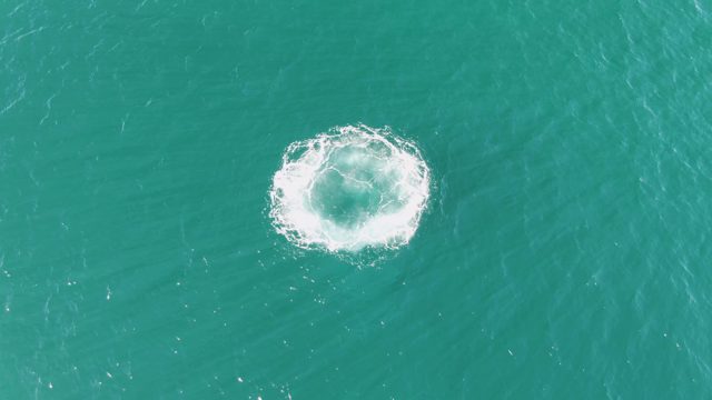 BUZZARDS BEACH EAST CAPE BCS-2023: Dissipating Circular Water Splash in Turquoise Ocean