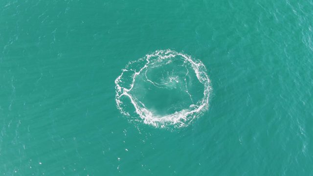 BUZZARDS BEACH EAST CAPE BCS-2023: Dissipating Circular Splash in Turquoise Water
