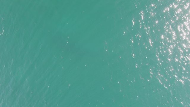 BUZZARDS BEACH EAST CAPE BCS-2023: Turquoise Ocean Surface with Sunlight Glint