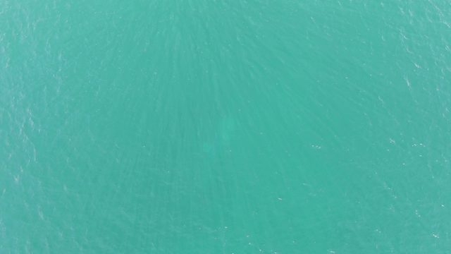 BUZZARDS BEACH EAST CAPE BCS-2023: Shark Silhouette Swimming Beneath Clear Turquoise Water