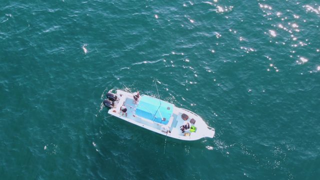 BUZZARDS BEACH EAST CAPE BCS-2023: Small Boat with People on Turquoise Ocean