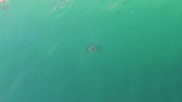 BUZZARDS BEACH EAST CAPE BCS-2023: Dark Circular Formation in Clear Turquoise Water