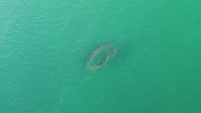 BUZZARDS BEACH EAST CAPE BCS-2023: Circular Aquaculture Net in Ocean Waters