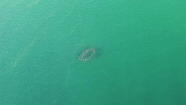 BUZZARDS BEACH EAST CAPE BCS-2023: Circular Formation in Turquoise Ocean Waters