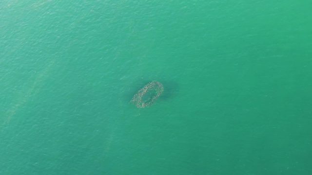 BUZZARDS BEACH EAST CAPE BCS-2023: Submerged Ring Formation in Turquoise Ocean Water