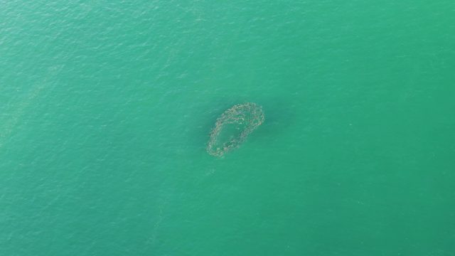 BUZZARDS BEACH EAST CAPE BCS-2023: Floating Circular Net in Turquoise Ocean Water