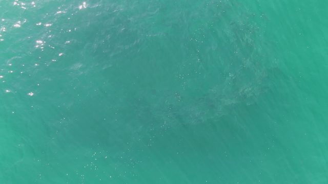 BUZZARDS BEACH EAST CAPE BCS-2023: Gentle Ripples on Turquoise Ocean Surface