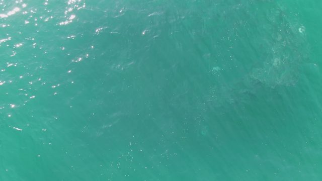 BUZZARDS BEACH EAST CAPE BCS-2023: Gentle Ripples on Turquoise Ocean Surface