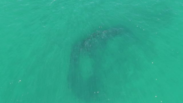 BUZZARDS BEACH EAST CAPE BCS-2023: Shifting Submerged Reef in Clear Turquoise Water