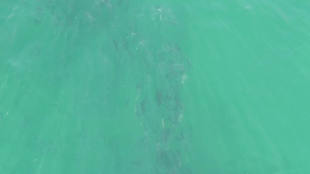 BUZZARDS BEACH EAST CAPE BCS-2023: Clear Turquoise Water with Submerged Ripples and Motion