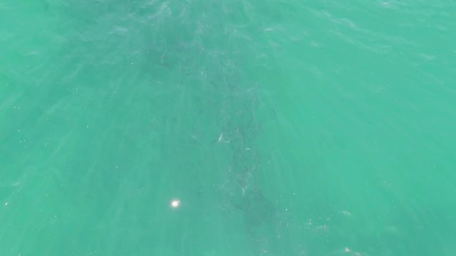 BUZZARDS BEACH EAST CAPE BCS-2023: Turquoise Water Surface with Gentle Ripples