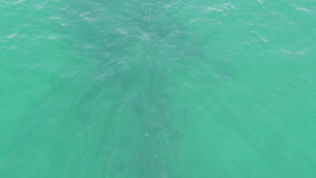 BUZZARDS BEACH EAST CAPE BCS-2023: Gentle Ripples on Clear Turquoise Ocean Water