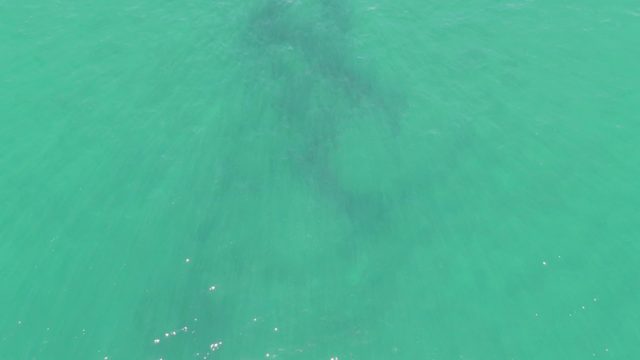 BUZZARDS BEACH EAST CAPE BCS-2023: Overhead View of Submerged Anchor in Turquoise Water