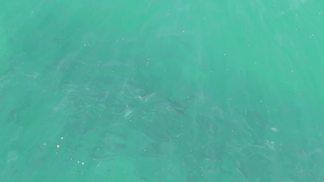 BUZZARDS BEACH EAST CAPE BCS-2023: Gentle Ripples on Clear Turquoise Water Surface