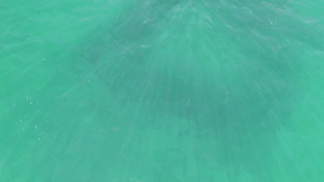 BUZZARDS BEACH EAST CAPE BCS-2023: Shallow Turquoise Water with Light Patterns and Gentle Ripples