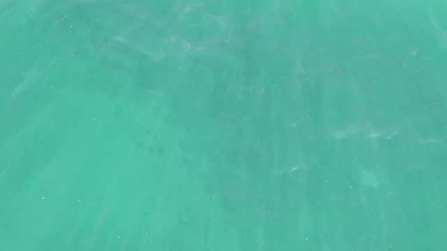 BUZZARDS BEACH EAST CAPE BCS-2023: Overhead View of Clear Turquoise Ocean Water with Seabed